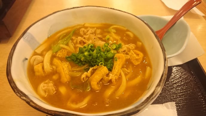 鹿児島空港で黒豚カレーうどん!