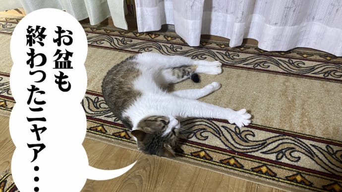 お盆も終わったねえ・・・
