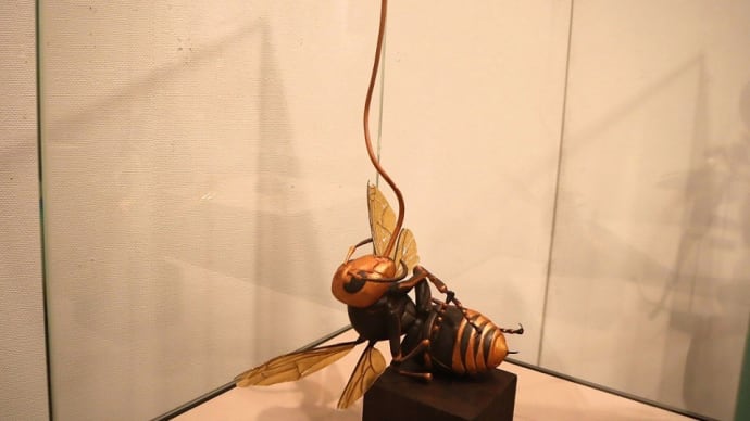 えっ、これが本当に革なの!?。茨城県陶芸美術館で、『革のかたち 河野甲 と 市川陽子』を観ました。