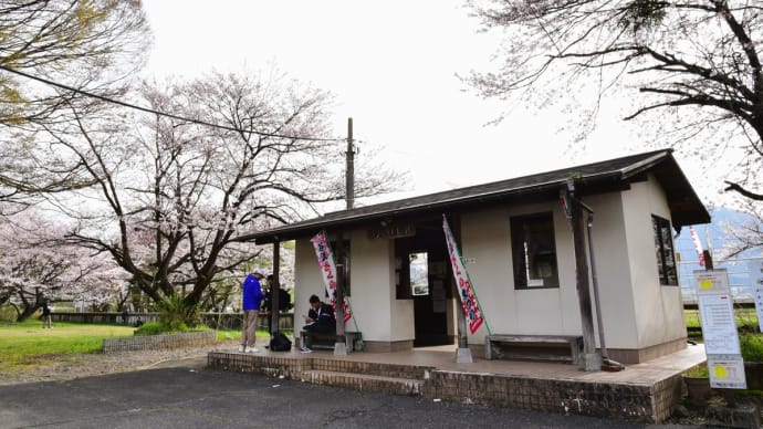 花弁舞い散る、記憶舞い戻る。