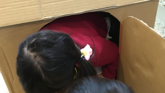 あっという間にMyハウス☆届いた段ボール箱で…