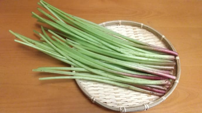 火の君マルシェで旬のお野菜
