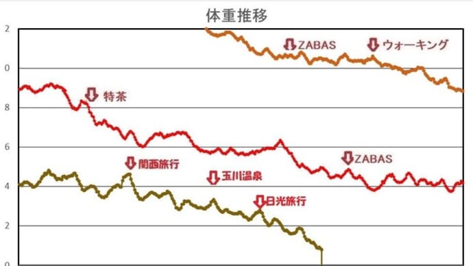 体重推移・2024年8月