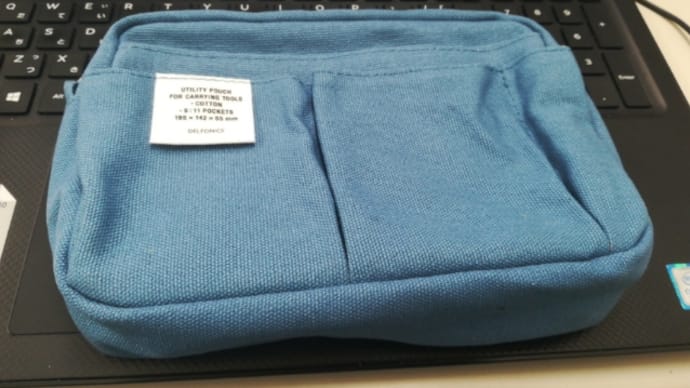 DELFONICSのバッグインバッグ、結局新調する。