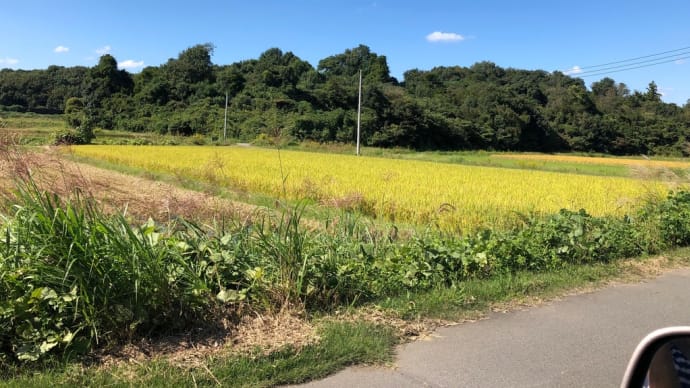 撮り鉄し その後は実家の 墓参り💐