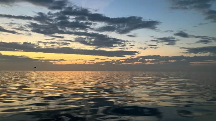 風がないときは中深海です! 東京湾 中深海便 2025/6/16
