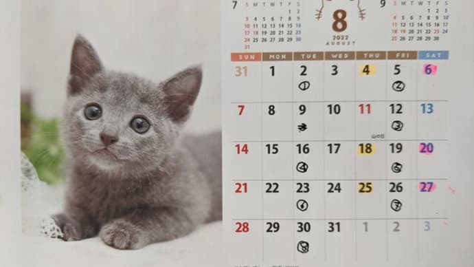 ほそぼそとですが…やっとります😅