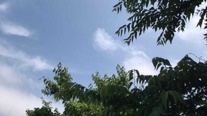 ヨガでスッキリ