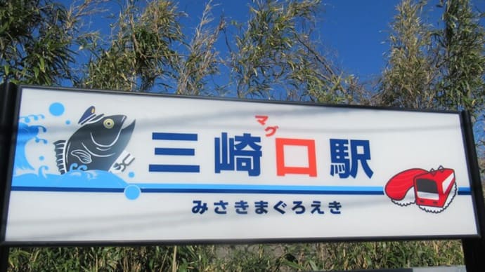 2025年3月1日 その③ レポート第11回 三浦海岸の河津桜🌸🌸🌸開花状況~\(^-^)/ ③ 三崎口駅