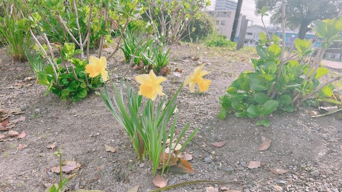 このままでは、終わらせない