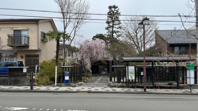 仙台 4月の輪王寺