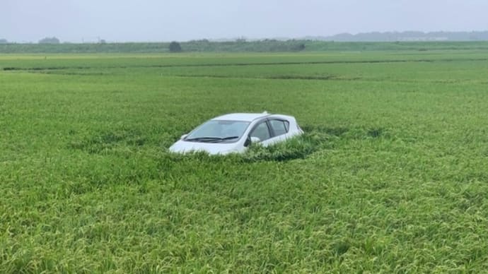 宮崎の農地で水に浸かった車の中で高齢男性死亡
