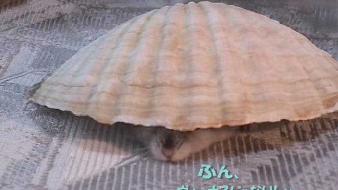「開けられずに逃げ遅れた」って?