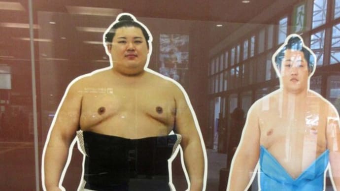 ☆大の里の大銀杏と化粧まわし 郷土のゲートウェイ飾る新たな等身大パネル