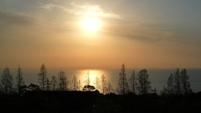 またもや小田原・熱海の旅　～2024 小田原の桜～　その2