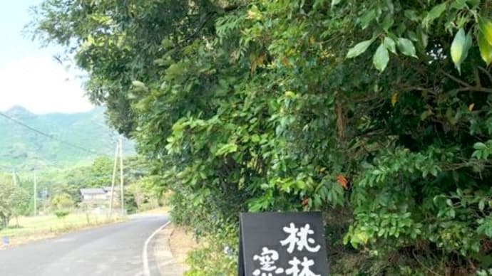 桃林窯 武雄焼き apron Kiima