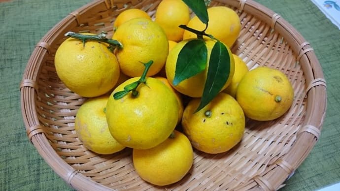 完熟すだち