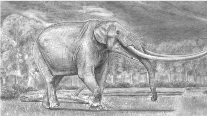 巨大陸獣「GFSマストドン」(G. F. S. Mastodon)と、北米マストドン科の進化史!【決定版】
