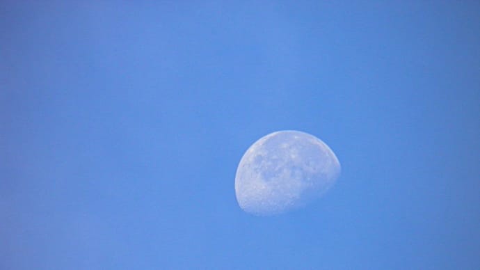 朝のぼんやりした空に月がぷかり♪