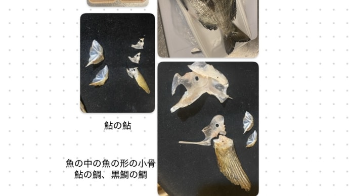春 4月の終わり 春眠暁を覚えず 眠い 鮎と黒鯛をゲット 鮎は養殖 黒鯛は天然 チヌ 鯛と黒鯛のクロダイ アユのアユ 塩焼きで美味しく綺麗な小骨を やはり眠い ひと眠りしませう すぐ5月が始まるのです