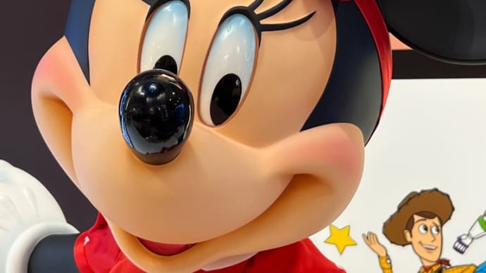 ❤️8/12❤️12㊗️ディズニーストア㊗️30周年❤️