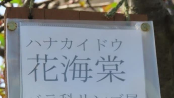 花海棠と里ざくら