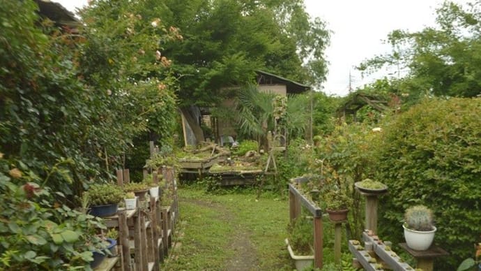 安中市の松井田多肉植物園