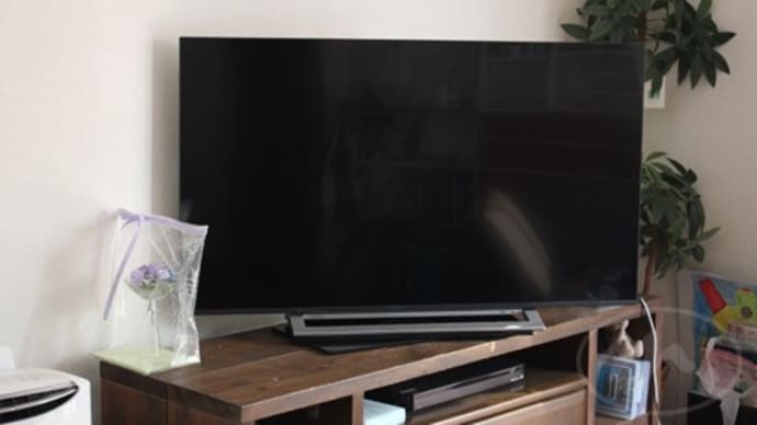 テレビ到着