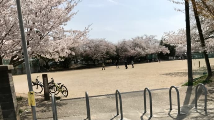 城南荘の桜2021