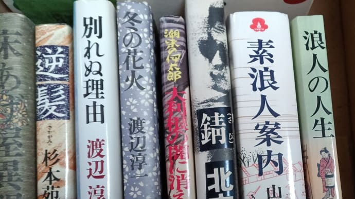かわいい私設図書館「あおぞら文庫」北丹沢の麓・・高城商店横