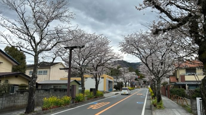 3月開館日も残り2日、ラストスパートです。