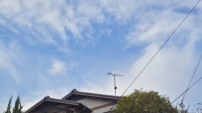 雨に濡れてしまいました。