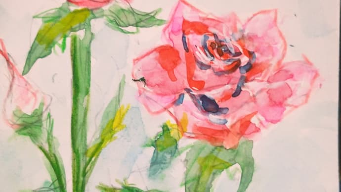 ミニ薔薇 ハガキ