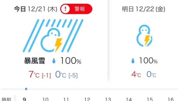12/21暴風雪で休足日(気にかかって…)