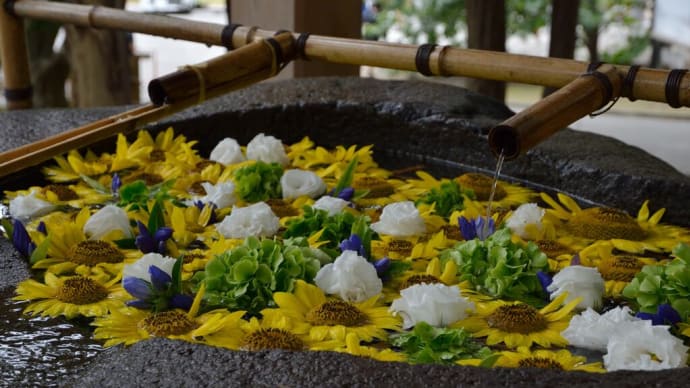 9/18 千歳神社 花手水