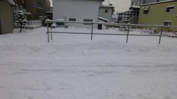 降ったな またもや 25cm