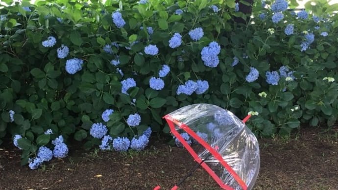 高田馬場のあっちの方