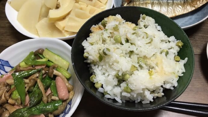 体験入所の結果は、…う~ん