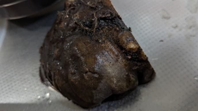 久々のコンニャク 追記