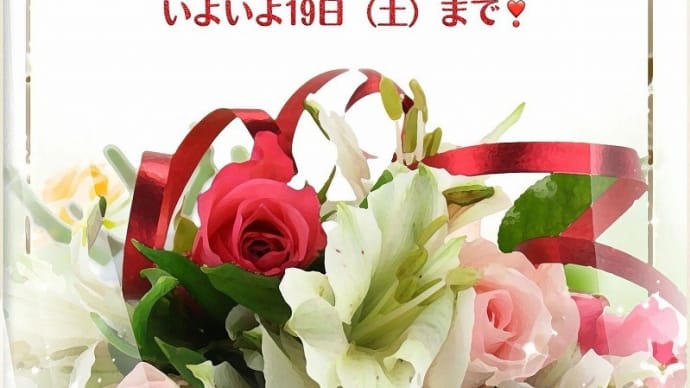 週替わり限定品 19日(土)まで