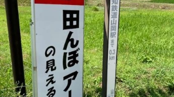 【田んぼアート】恵那峡温泉の旅④2024/7/28