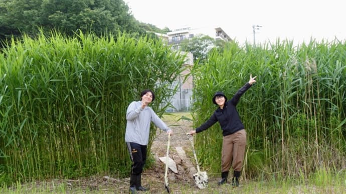 ビオトープ