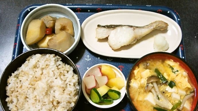 家で朝ご飯(発芽玄米ご飯に真鱈の塩糀漬け、ニラと玉子の味噌汁、里芋の煮物、野菜の浅漬け)(2021年3月10日)