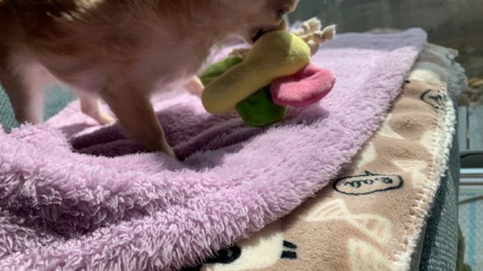 ことうとうと。
