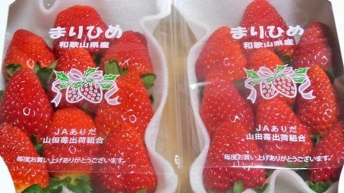 県オリジナル品種のイチゴ：「まりひめ」