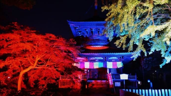足利 灯り物語 No.2(鑁阿寺)