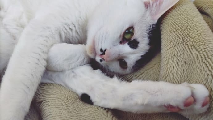 おーっと
