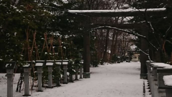 はずれもあるかあ。。。
