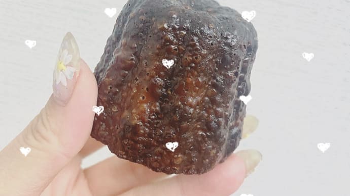 お客様からのいただきもの
