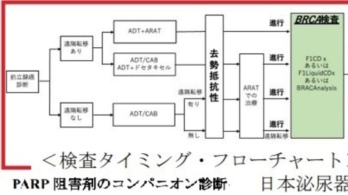 ◆「単に絶望的な結果を知るだけなら、そんな先々のネガティブ情報を今知る必要は無いのではないか」と旨の質問あり／BRCA遺伝子変異の陽性なら、癌はいずれ深刻に悪化する可能性が高い